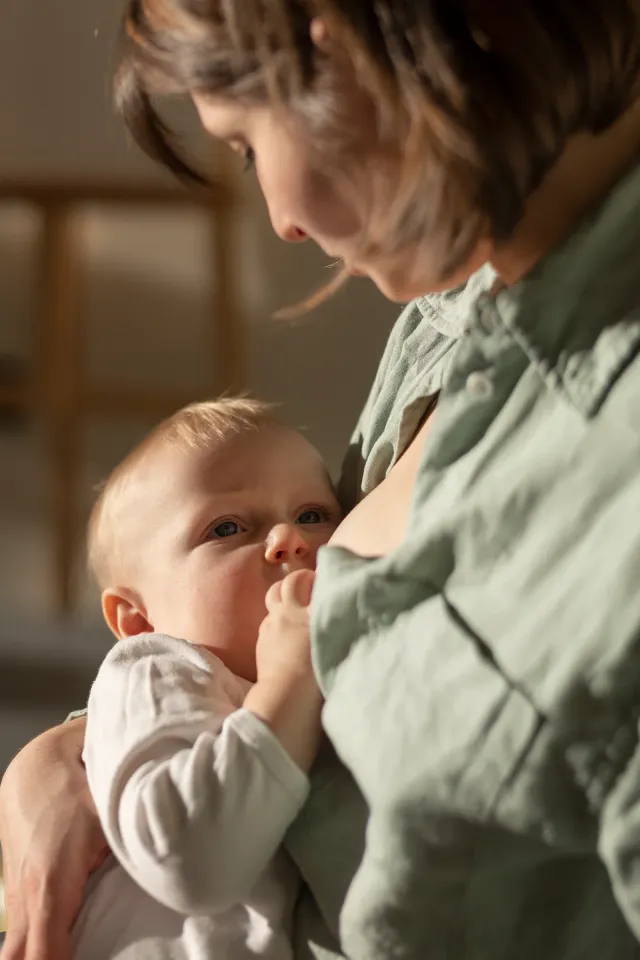 Mère allaitant son nouveau-né, peau contre peau